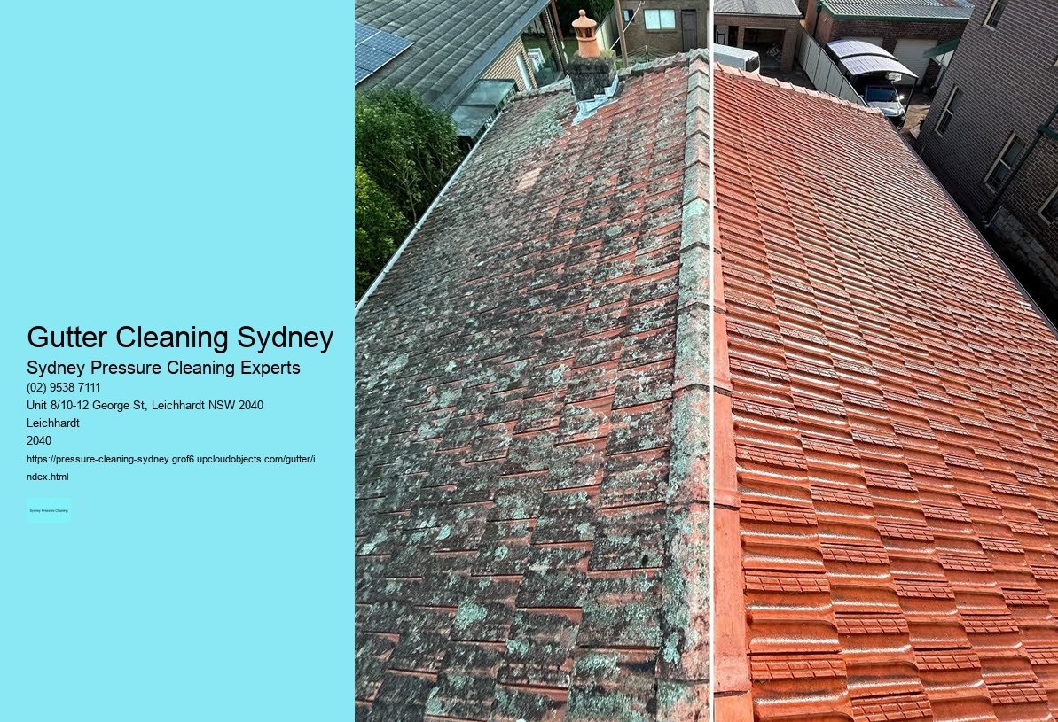 Gutter Cleaning Sydney